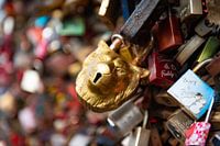 Löwenkopf-Vorhängeschloss