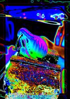 Ne vous préoccupez pas du piercing, regardez simplement devant vous.