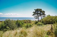 View of the Wadden Sea near Vlieland from the Vuurboetsduin