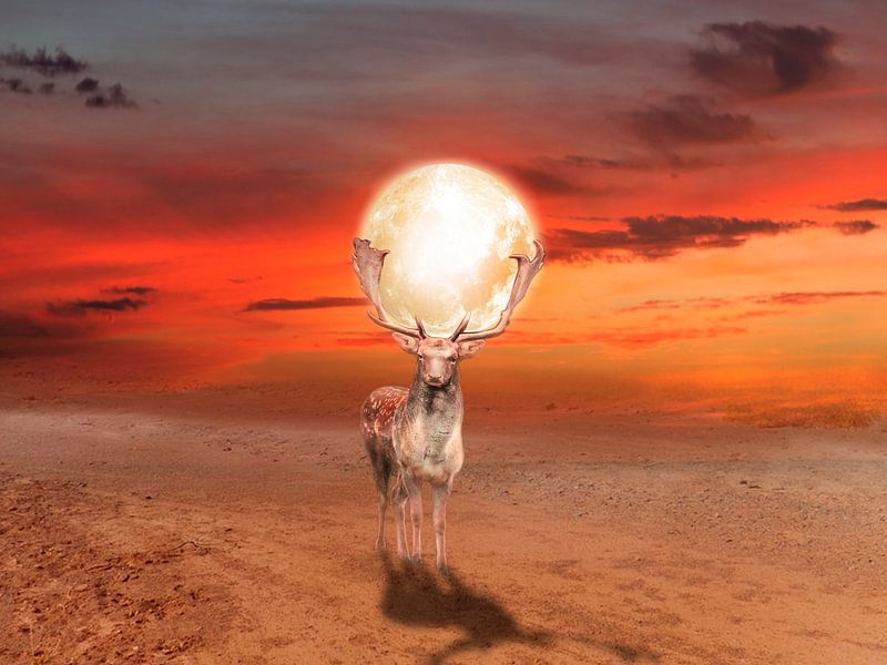 Le support par Catherine Fortin