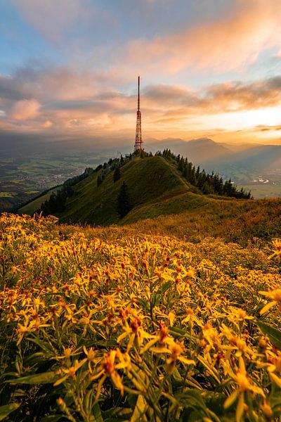 Flowery sunset at Grünten by Leo Schindzielorz