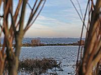 Blick auf das Haringvliet bei Stellendam