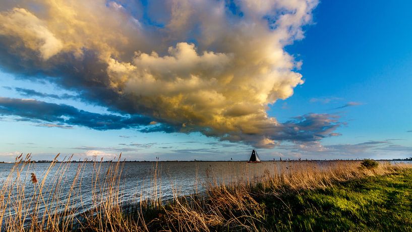 Eenzame zeiler von Jaap Terpstra