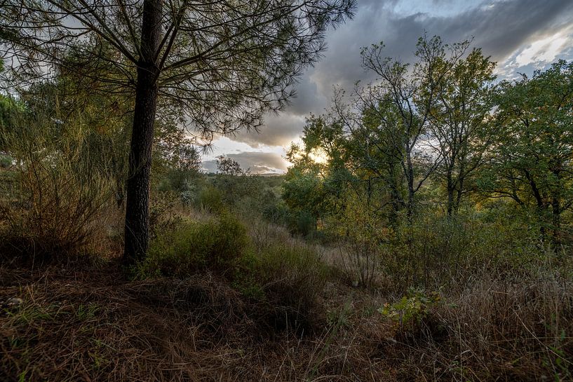 Une nature intacte au Portugal par Edwin van Kuler Fotografie