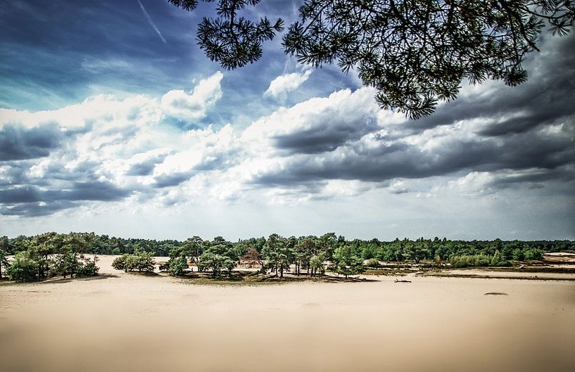 Voir par Roy IJpelaar