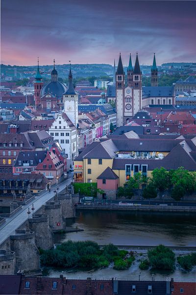 Blick auf Würzburg von Dennis Donders