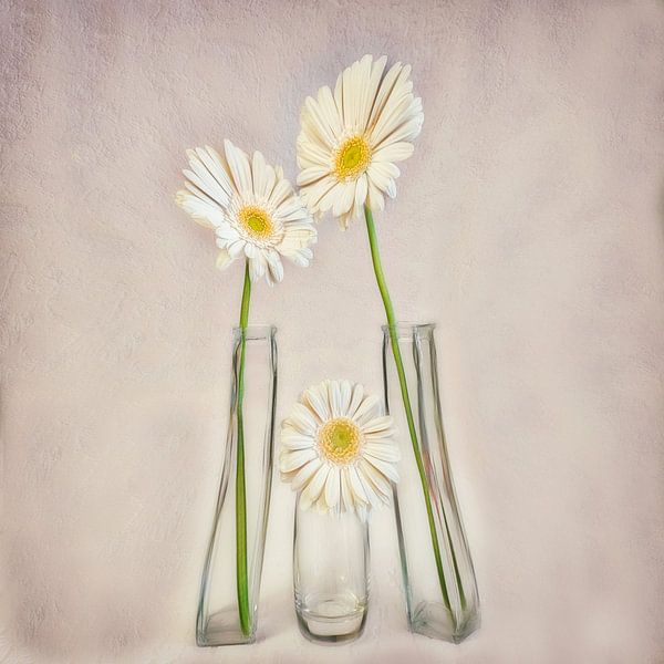 Famille par Marie Stas