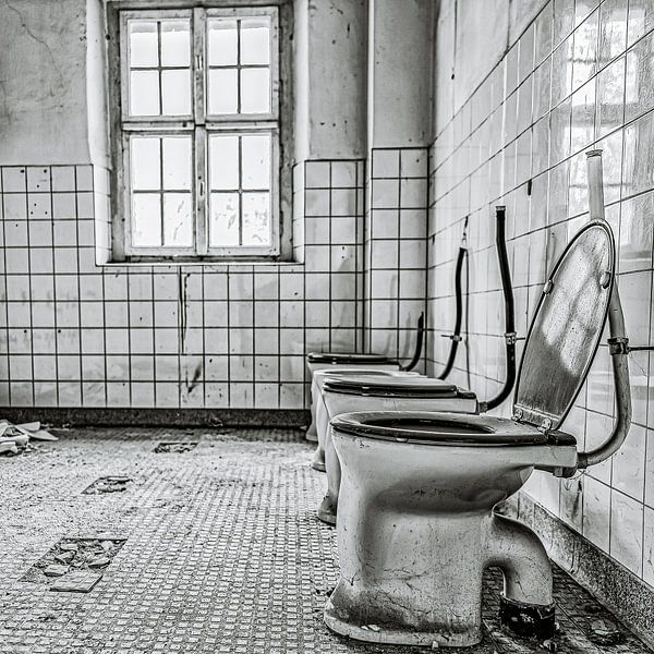 Vous en aurez besoin ! Quatre toilettes d'affilée. par okkofoto