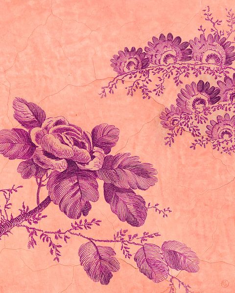 Zeichne mir eine Rose an die Wand von Marlou Westerhof