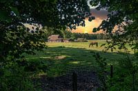 Een, Drenthe (Die Niederlande)