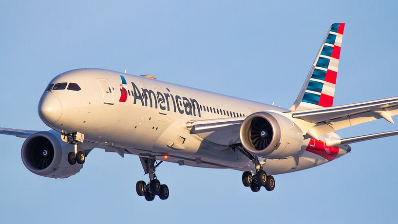 American Airlines Boeing 787 Dreamliner by Dennis Dieleman
