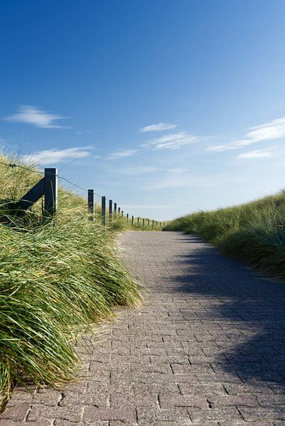 Sentier côtier à travers les dunes sur Baltrum par Anja B. Schäfer
