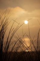 L'heure d'or en Zélande