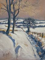 Roi Hiver, comme vous êtes en avance cette année !