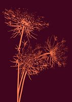 Branches d'oranger | Illustration | Botanique | Rouge | Impression