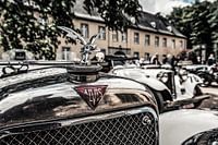 Alvis Kühler Ornament