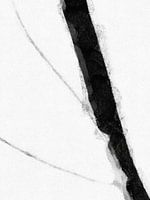 Minimal Monochrome D1