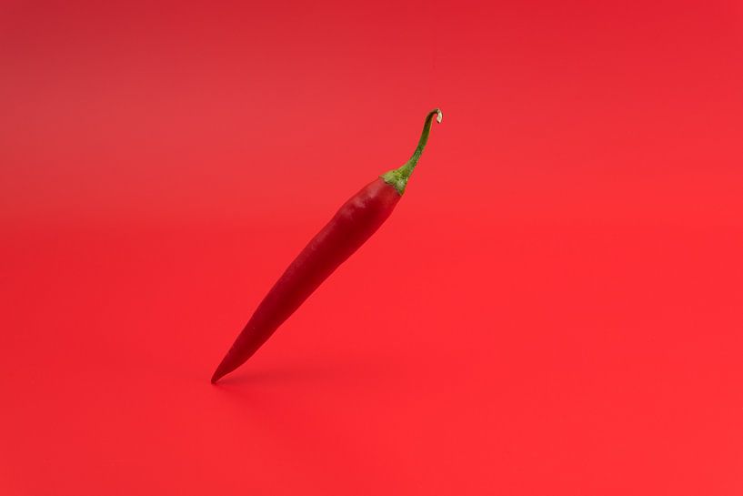 Red hot pepper by Wim Stolwerk