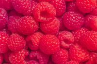 Framboises en gros plan - fraîcheur naturelle