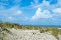 Cadzand-bad, des dunes avec de l'herbe et la mer
