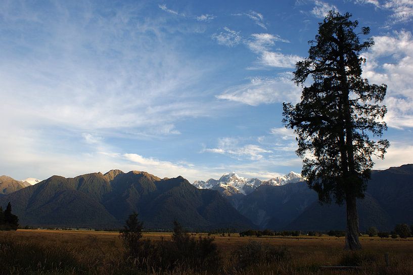 Southern Alps in the evening sun by Jeroen van Deel