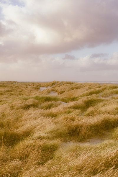 Les dunes à Skagen par Pascal Deckarm