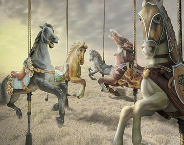 Escaped from the merry-go-round by Gerben van Buiten