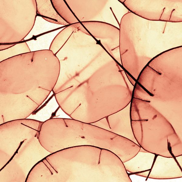 BLATT-WERK-4b von Pia Schneider