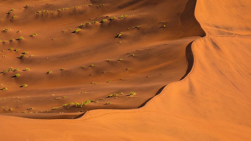 Red sand dune - Sossusvlei, Namibia by Martijn Smeets