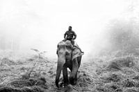 Mahout in the Chitwan Park in Nepal