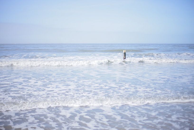 Rots In De Branding von Mark de Vries