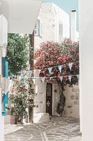 Griechische Straße mit Bougainvillea und Fahnen | Fine Art Photo Print