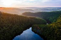 L'Ourthe schlängelt sich durch die Wälder der Ardennen