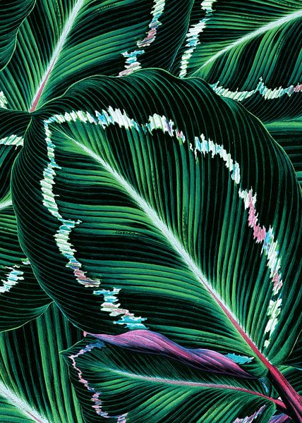 TROPISCH GROEN BLADPATROON-1 van Pia Schneider