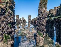 Au milieu des grognes