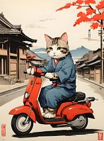 Katze reitet Scooter