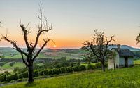 Ein schöner Sonnenuntergang über den Weinbergen