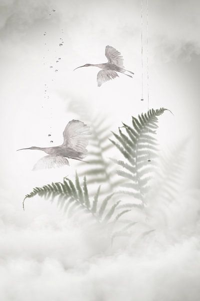 Hinter dem Glasfenster. 2 von Alie Ekkelenkamp