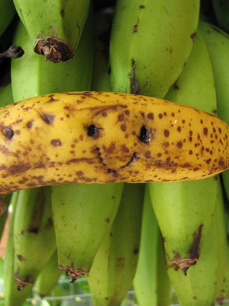 Banana smile par Daphne Wessel