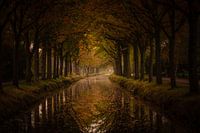 Herbst in Bontebok, Friesland