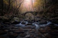 Pour un goût d'éternité