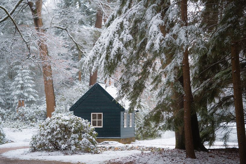 Winterszenen in Crown Estate Het Loo von Samantha Rorijs