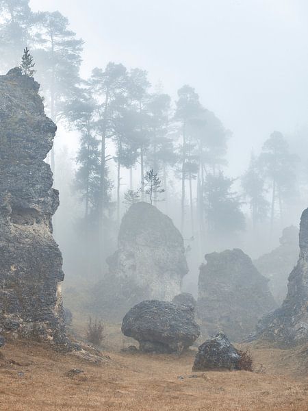 Wental in the November fog by Max Schiefele