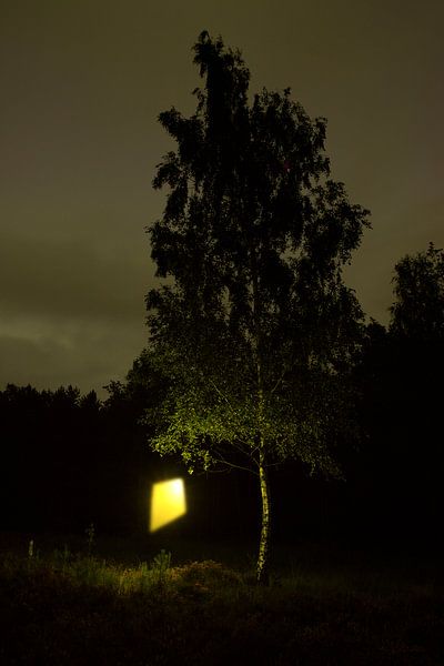 Himmel 1 von Casper Zuidwijk