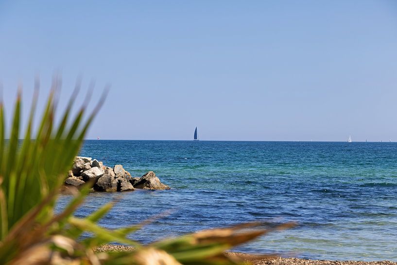 Plage et Méditerranée avec palmier flou et voiliers de Port Grimaud Vue direction Saint Tropez, Cote d&#039;Azur par Andreas Freund