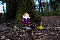 Schneewittchen im Wald