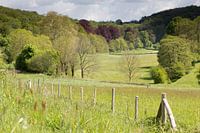 Le printemps dans le Limburgse Voerstreek