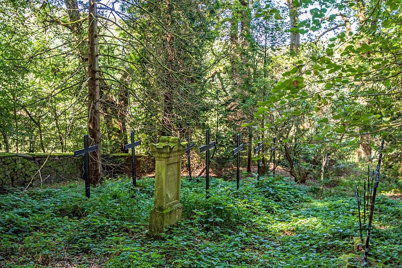 Een mysterieuze rustplaats midden in het bos van Thomas Riess