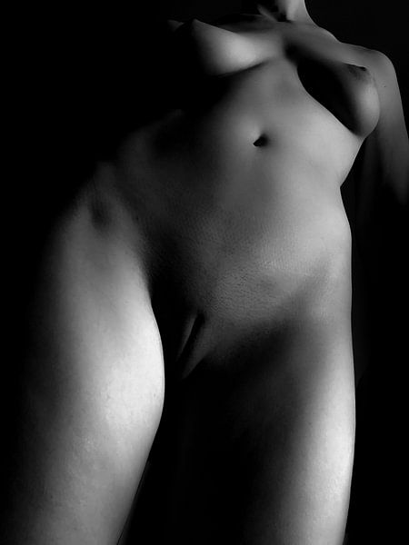 Nu artistique d'une femme en noir et blanc par Art By Dominic