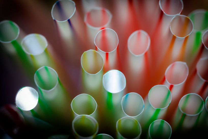 Soulmates by Jan van der Knaap